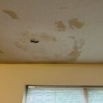 IMG 1732 150x150